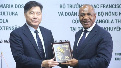 Layanan penyuluhan pertanian Vietnam siap bermitra dengan Angola untuk pengembangan pertaniannya.