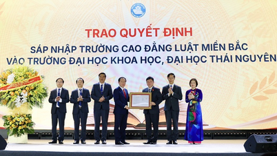 Vicepremierminister Le Tien Chau: Udvikling af juraområdet til en ny styrke for Thai Nguyen Universitet efter fusionen.