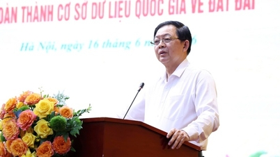 Không lùi mục tiêu hoàn thành cơ sở dữ liệu đất đai, đưa vào khai thác ngay khi hoàn thiện
