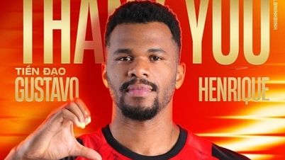 Ninh Bình FC thông báo chia tay 3 ngoại binh