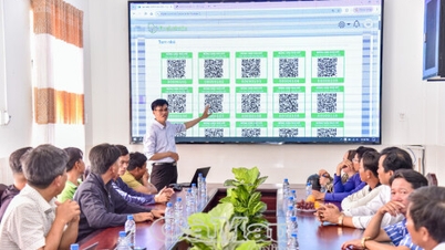 A Vinh Thanh tem como objetivo construir uma marca de espinafre d'água que atenda aos padrões VietGAP e OCOP de 3 estrelas ou superior.