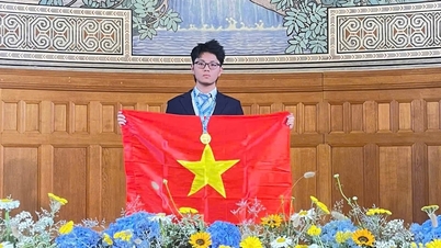 르퀴돈 영재고등학교 학생들이 유럽 물리 올림피아드에서 금메달을 획득했습니다.
