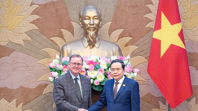 Further promote cooperation between the National Assembly of Vietnam and the Federal Parliament of Germany.