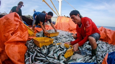 Melhorar a segurança ocupacional dos pescadores em alto mar.