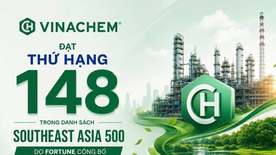 Vinachem lần đầu góp mặt trong Top 500 doanh nghiệp hàng đầu Đông Nam Á