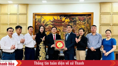 Thanh Hoan ja thaimaalaisten kumppaneiden välisen investointien, kaupan ja matkailuyhteistyön edistäminen.