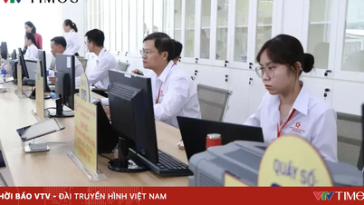 Khẩn trương tuyển dụng, tiếp nhận công chức, ký hợp đồng nhân sự cấp xã