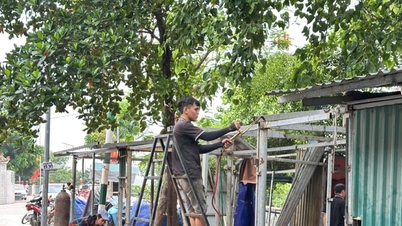 Komune Bat Trang memperkuat langkah-langkah untuk memulihkan ketertiban perkotaan di lokasi usaha ilegal.