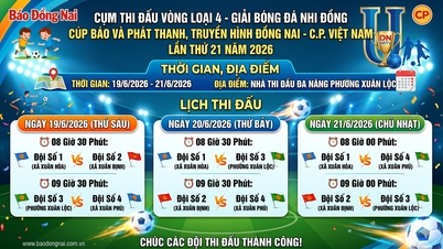 Den fjerde kvalifikationsrunde af børnefodboldturneringen, Dong Nai Newspaper and Radio & Television Cup - CP Vietnam, starter den 19. juni.