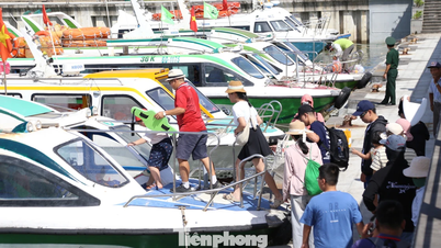 Change of pick-up and drop-off points from Quy Nhon to Cu Lao Xanh Island.