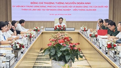 Ulusal Meclis Başkan Yardımcısı Nguyen Doan Anh: İşi titizlikle yapın, doğru şekilde yerine getirin ve Ulusal Meclis'in pratik ihtiyaçlarına ve halkın çıkarlarına hizmet edin.