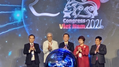 Hơn 1.000 chuyên gia quốc tế dự Hội nghị Chăn nuôi Thú y Heo Thế giới