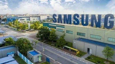 Chính phủ 'chốt' mở rộng thêm gần 195 ha cho Khu công nghệ cao TP.HCM