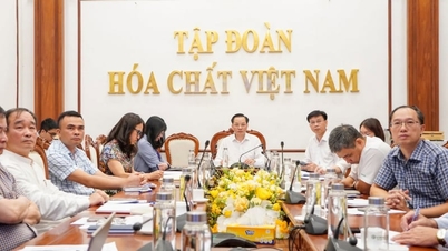 ธุรกิจปุ๋ยภายใต้บริษัท Vinachem ตอบสนองต่อความผันผวนของตลาดอย่างทันท่วงที