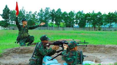 Trung đoàn 174 kiểm tra bắn đạn thật và diễn tập chiến thuật cấp trung đội