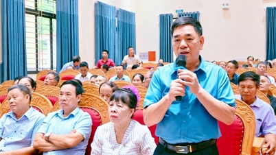 Vinh Phuc-distriktet, Phu Tho-provinsen (tidigare Vinh Yen City, Vinh Phuc-provinsen) omorganiserar byar och byter namn på bostadsområden.