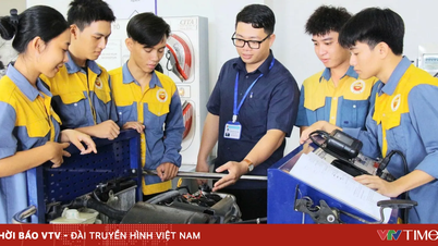 Open the doors for experts and artisans to participate in vocational training.