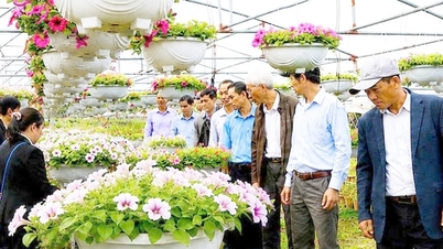 Hiện thực hóa khát vọng trở thành đô thị xanh