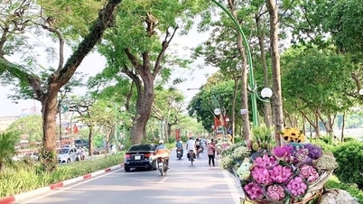 Vietnam bagian utara akan mengalami penurunan suhu, dengan hujan ringan yang tersebar di sore dan malam hari.