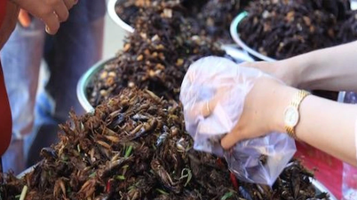 Pasar Serangga Na Si - Produk Unik dari Pegunungan Barat Laut