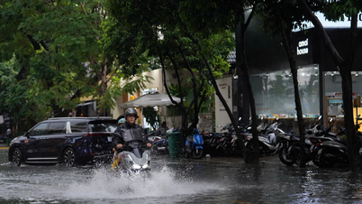 Kawasan 'elit' Kota Ho Chi Minh dilanda banjir parah setelah hujan deras.