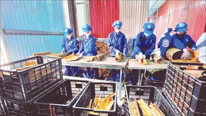 Рост экспорта сельскохозяйственной продукции в Индию