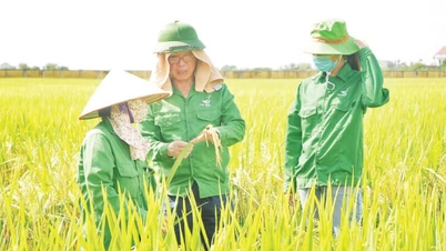 Viết tiếp khúc quân hành trên mặt trận kinh tế