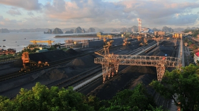 Tuyển than Cửa Ông quyết tâm cán đích các chỉ tiêu năm 2026