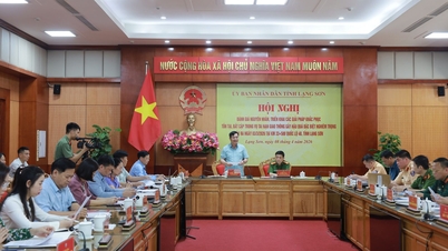 Hội nghị đánh giá nguyên nhân, triển khai các giải pháp khắc phục tồn tại, bất cập trong vụ tai nạn giao thông đường bộ đặc biệt nghiêm trọng xảy ra ngày 03/3/2026 tại Km33+500, Quốc lộ 4B, xã Na Dương