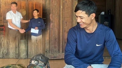 꽝응아이성에서 한 젊은이가 지역 당국에 넘겨준 야생 동물은 얼마나 희귀하고 멸종 위기에 처한 종이었을까요?