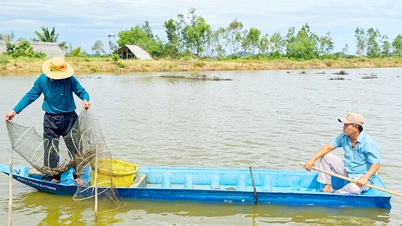 Đổi mới cách làm trên những vuông tôm