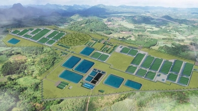 BAF đón 50 nhà đầu tư đến tổ hợp trang trại công nghệ cao Giai Xuân