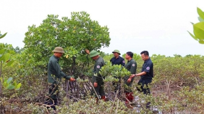 Mari kita bekerja sama untuk melestarikan kehijauan hutan.