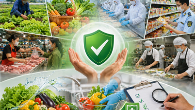 Ban Thường vụ Tỉnh ủy chỉ thị tăng cường sự lãnh đạo của Đảng đối với công tác an toàn thực phẩm trong tình hình mới trên địa bàn tỉnh Lào Cai