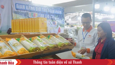 การปกป้องสิ่งแวดล้อมในการพัฒนาผลิตภัณฑ์ OCOP