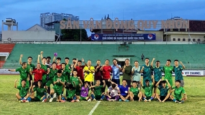 Provinsi Lam Dong berhasil promosi ke Liga Divisi Pertama Nasional.