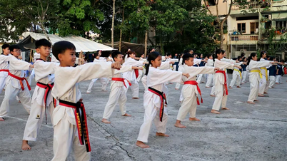 Um verão divertido e saudável com artes marciais.