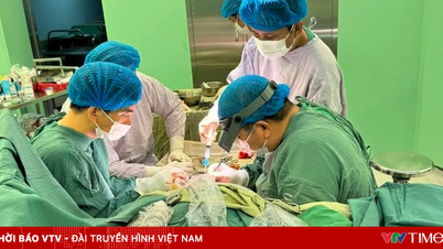 Επιτυχής επανασύνδεση ενός σχεδόν κομμένου χεριού ενός ψαρά που κινδύνευε στη θάλασσα.