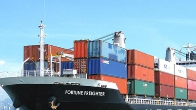 O aumento dos custos do frete marítimo está intensificando a pressão sobre as empresas vietnamitas de exportação de frutos do mar.