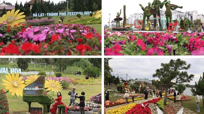 O 11º Festival das Flores de Da Lat: Uma harmoniosa combinação de flores e música.