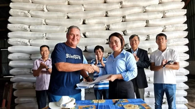 អង្ករចំនួន ១២០០ តោនដែលផលិតនៅវៀតណាមត្រូវបានប្រគល់ជូនប្រទេសគុយបា។