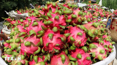 ผลไม้จากเวียดนามกำลังครองตลาดจีนมากขึ้นเรื่อยๆ