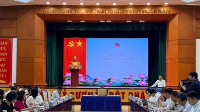กระทรวงการคลังตอบรับข้อเสนอที่ให้ครัวเรือนธุรกิจที่มีรายได้ต่ำกว่า 5 พันล้านดองจ่ายภาษีในอัตราคงที่