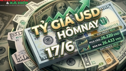 Tỷ giá USD hôm nay 17/6: Đồng Đô la Mỹ khối ngân hàng tăng nhẹ