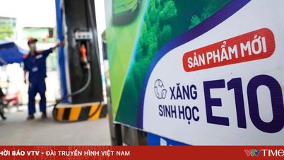 มีการใช้เชื้อเพลิงชีวภาพไป 520 ล้านลิตรภายในครึ่งเดือน