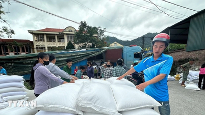 La provincia de Cao Bang ha distribuido más de 1.568 toneladas de arroz para ayudar a las personas necesitadas.