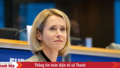 EU High Representative: NATO remains the "foundation" of collective defense.