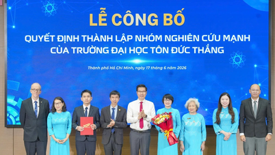 Trường Đại học Tôn Đức Thắng thành lập thêm 3 nhóm nghiên cứu mạnh