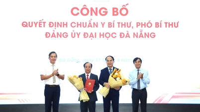 Công bố các chức danh lãnh đạo Đảng bộ Đại học Đà Nẵng và 6 trường thành viên