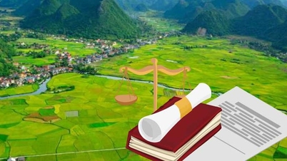 ກະຊວງກະສິກຳ ແລະ ສິ່ງແວດລ້ອມ ໄດ້ຈັດຫຼັກສູດຝຶກອົບຮົມວິຊາຊີບສອງຫຼັກສູດໃນຂະແໜງການປູກພືດ ແລະ ການປົກປ້ອງພືດໃນປີ 2026.